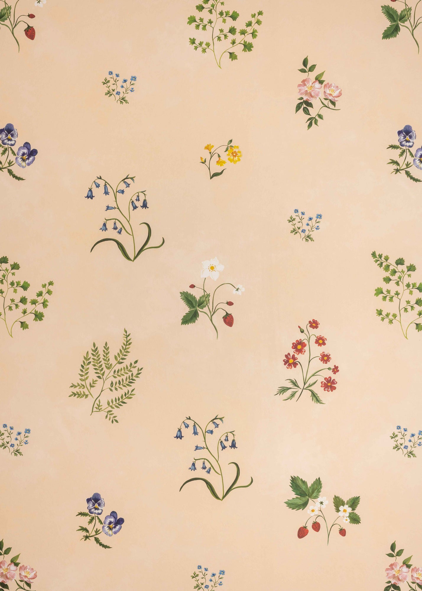 Herbarium Wallpaper ~ Wildflower