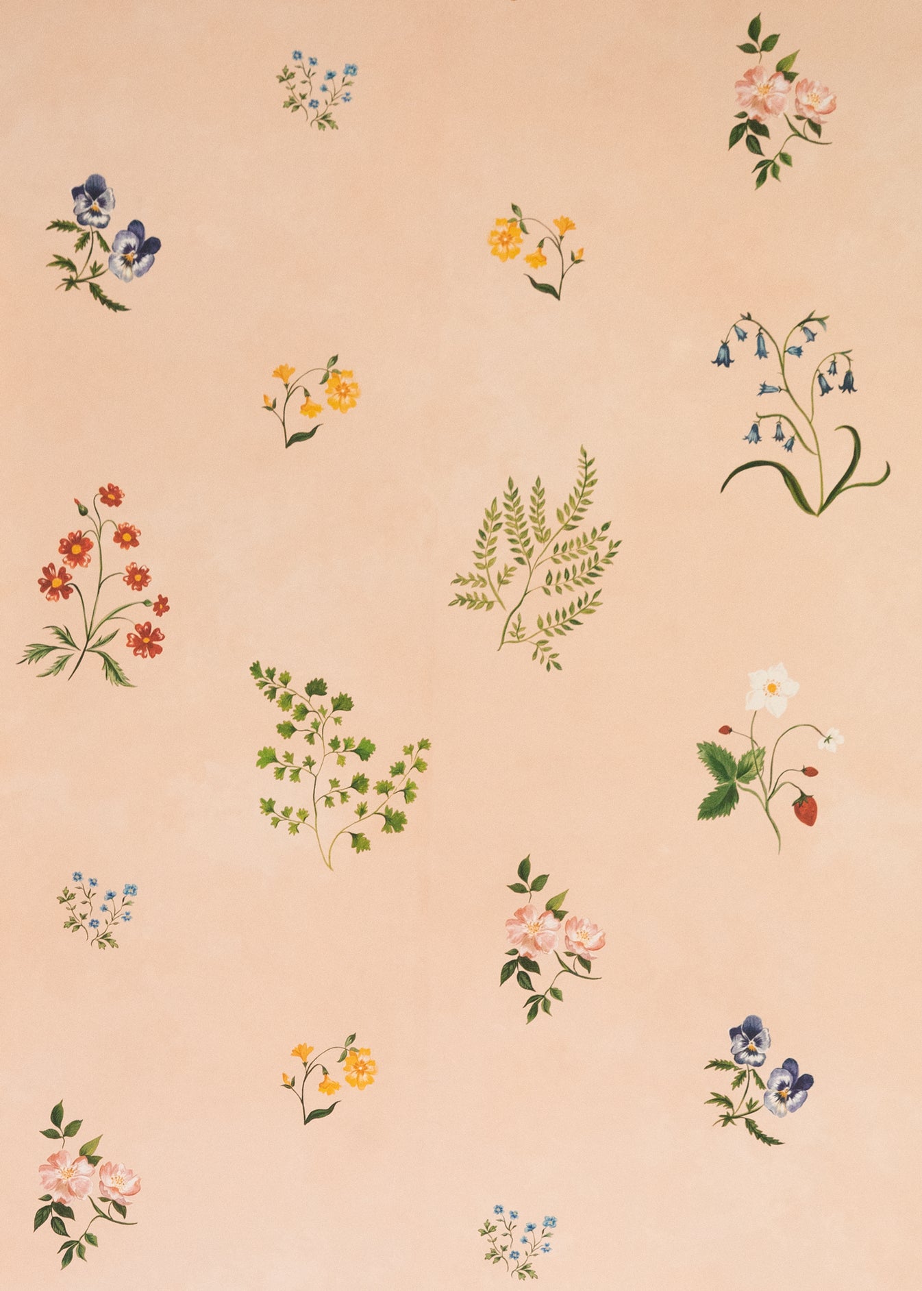 Herbarium Wallpaper | Wildflower | Tess Newall